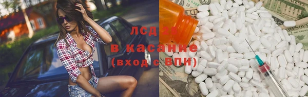 прущие грибы Алзамай