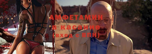 гашик Алексин