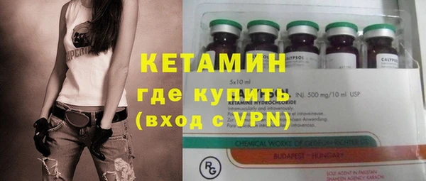 гашик Алексин