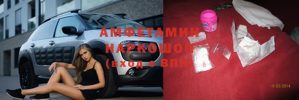 прущие грибы Алзамай
