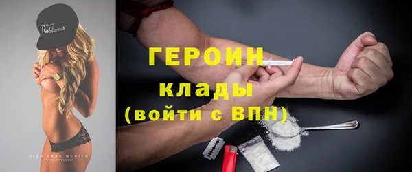 гашик Алексин