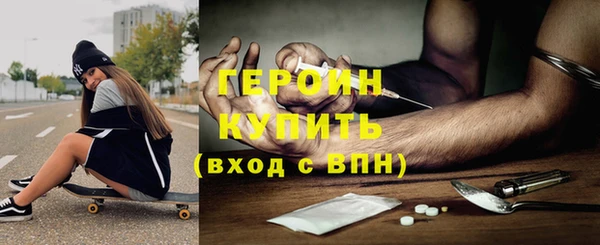 гашик Алексин