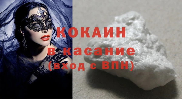 гашик Алексин