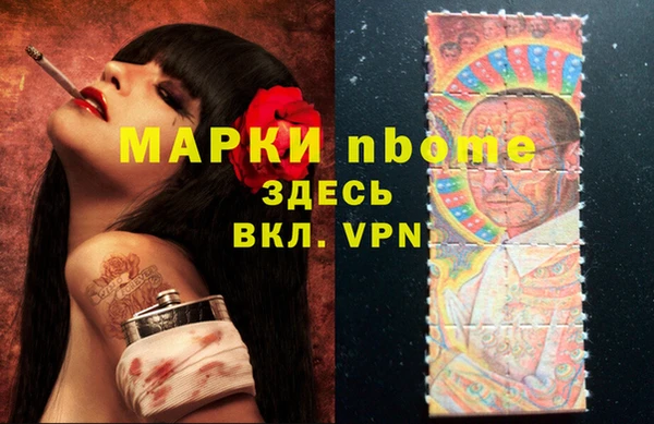 прущие грибы Алзамай