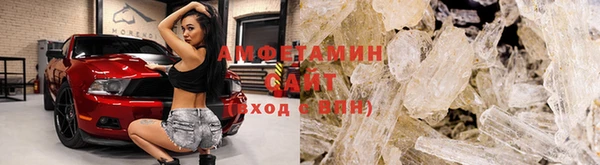 прущие грибы Алзамай