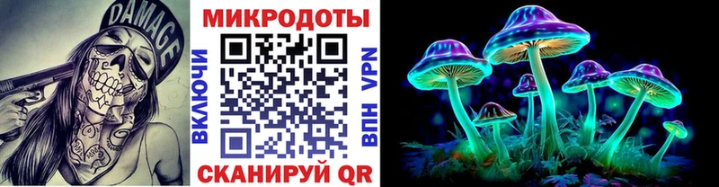 где купить наркоту  Боровск  Псилоцибиновые грибы GOLDEN TEACHER 